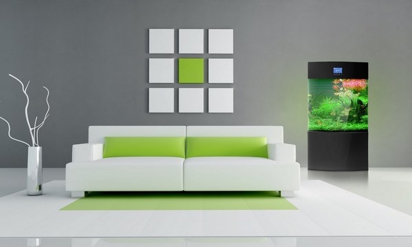 minimalt med grønt og hvitt interiør